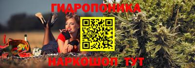 ALPHA PVP Краснодар
