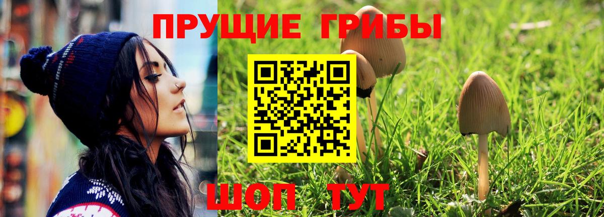 Псилоцибиновые грибы прущие грибы Кизилюрт